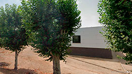 Tanatori Balaguer Hospital Hestia