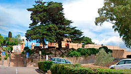 Tanatori Lloret de Mar