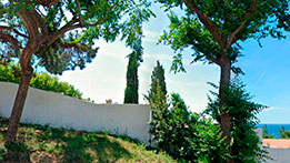 Tanatori Montgat